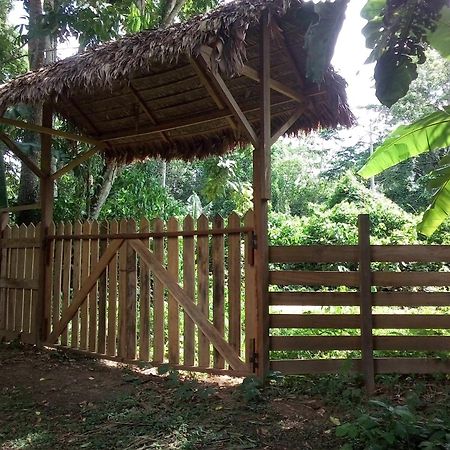 Tambopata River Puerto Maldonado Exterior photo