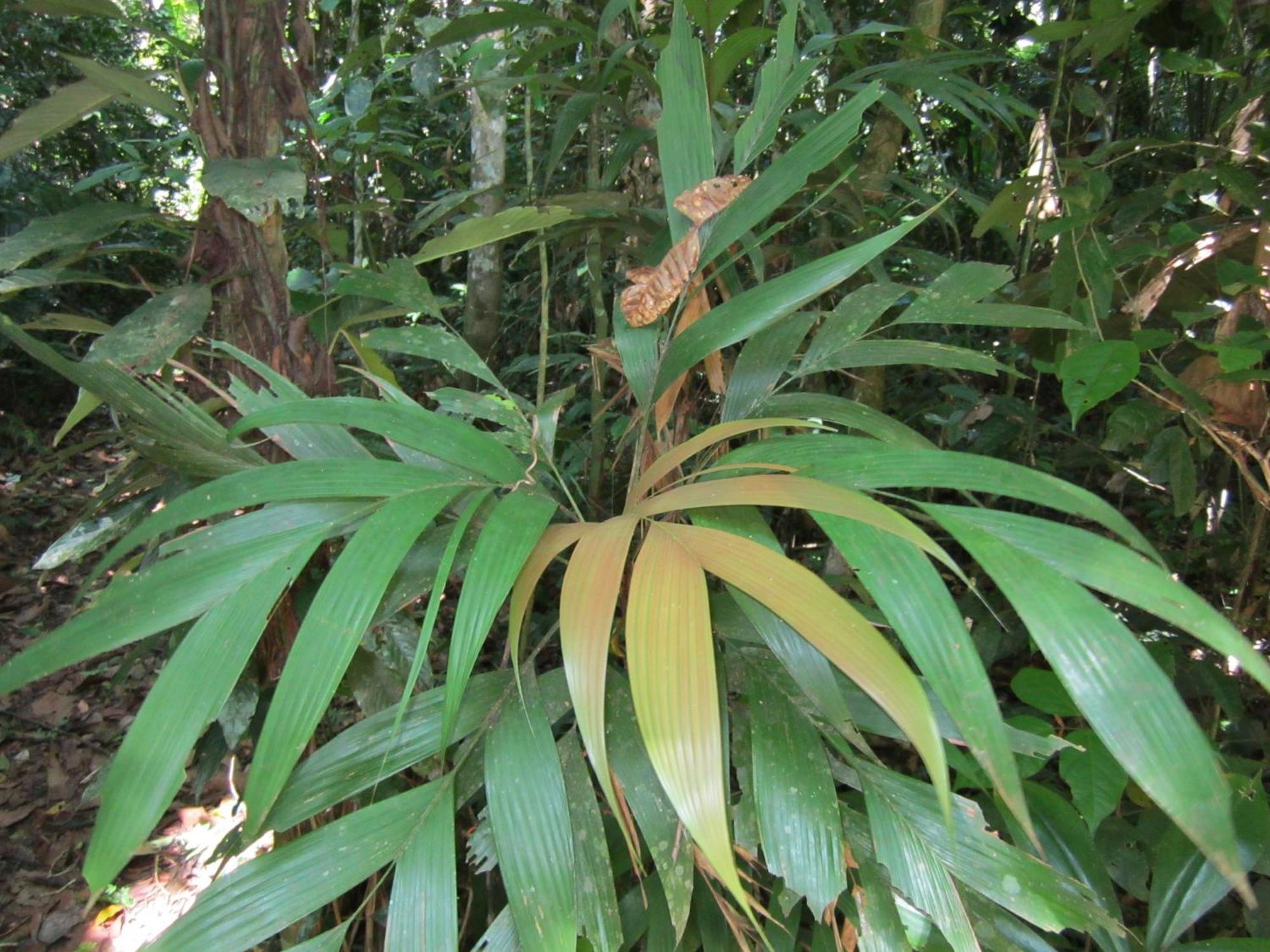 Tambopata River Puerto Maldonado Exterior photo